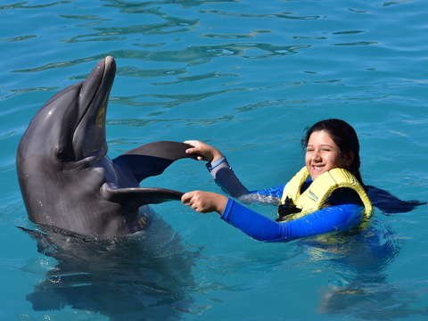 Paquetes y Tours en Cozumel 